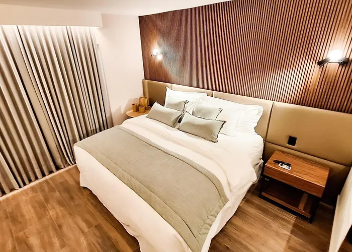 Belo Horizonte Hotels With Jacuzzi in Room near Parque Municipal Americo Renee Giannetti